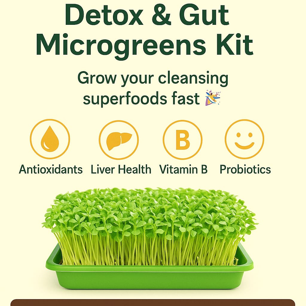 Gut Reset